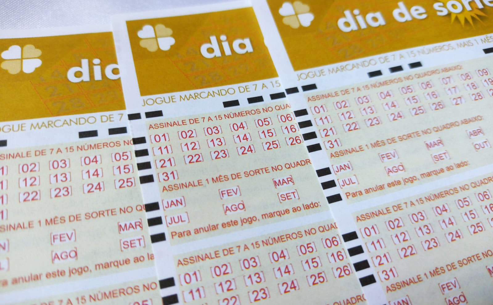 dia de sorte